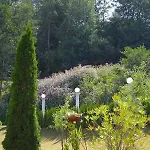 Der Seehof האוצנברג