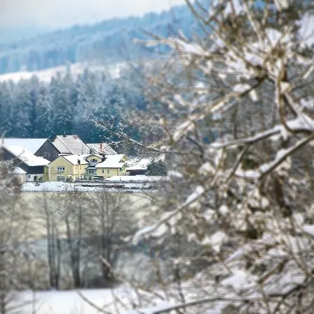 Hotel Der Seehof Hotel