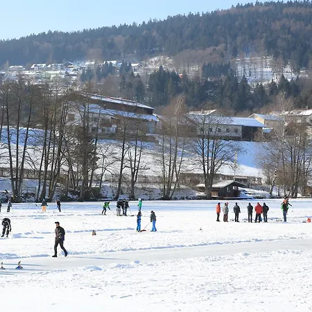 Der Seehof 3* Hauzenberg